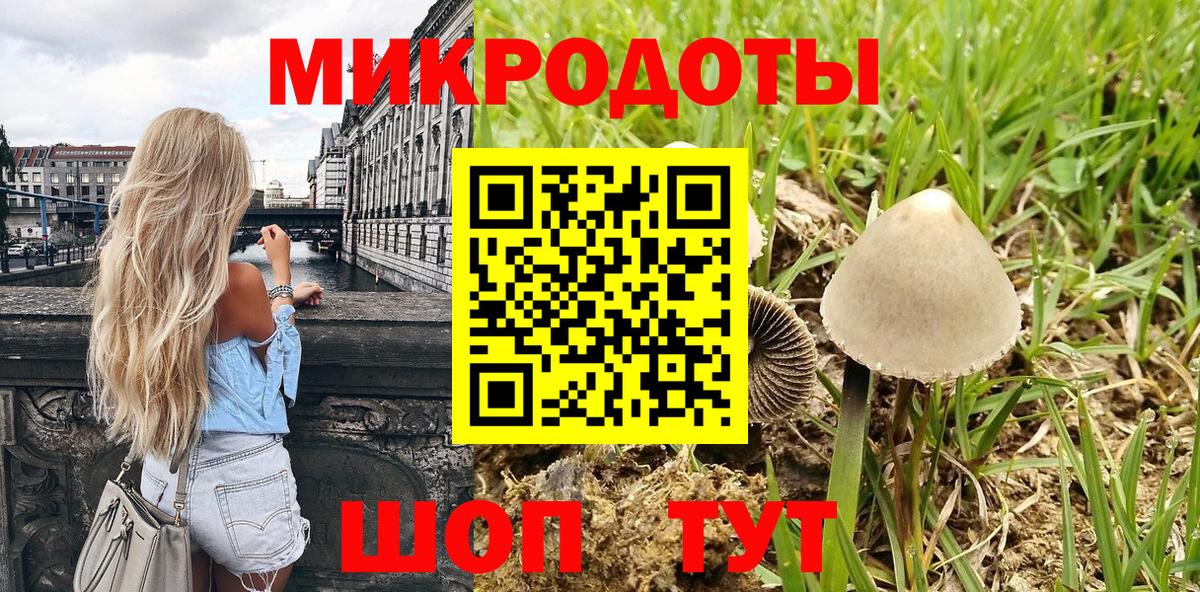 Псилоцибиновые грибы Psilocybine cubensis Михайловка