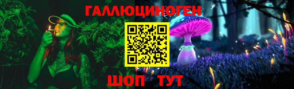 купить закладку  Вход с VPN  Михайловка  Псилоцибиновые грибы MAGIC MUSHROOMS 